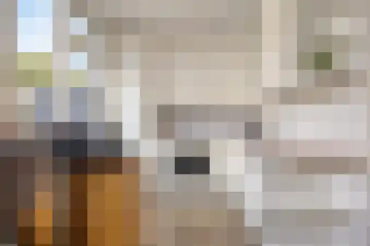Joost van den Vondelstraat 18 Sliedrecht thumbnail 8