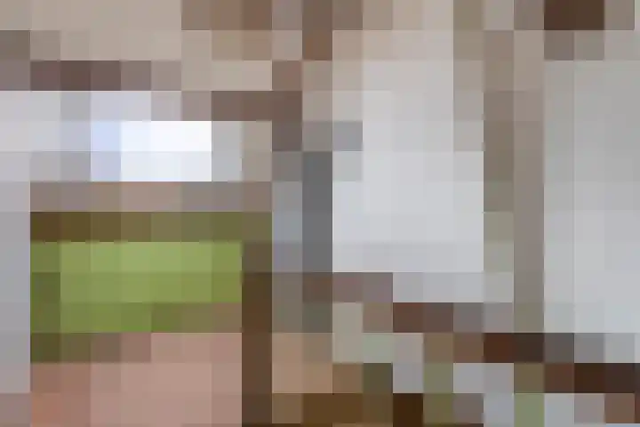 Joost van den Vondelstraat 21 Sliedrecht thumbnail 17
