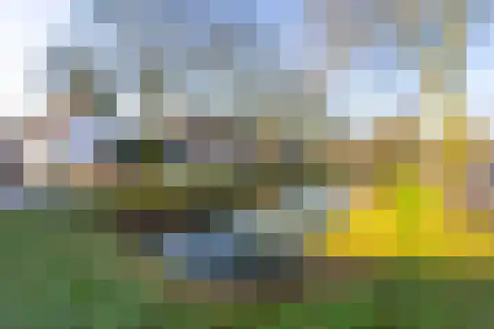 Joost van den Vondelstraat 21 Sliedrecht thumbnail 23