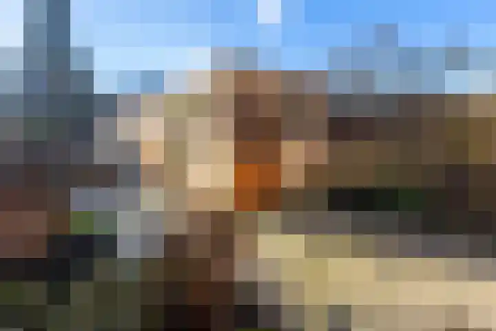 Joost van den Vondelstraat 21 Sliedrecht thumbnail 4