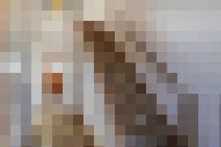 Joost van den Vondelstraat 21 Sliedrecht thumbnail 9
