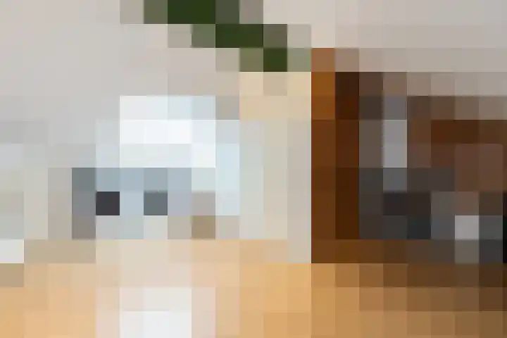 Joost van den Vondelstraat 22 Sliedrecht thumbnail 24