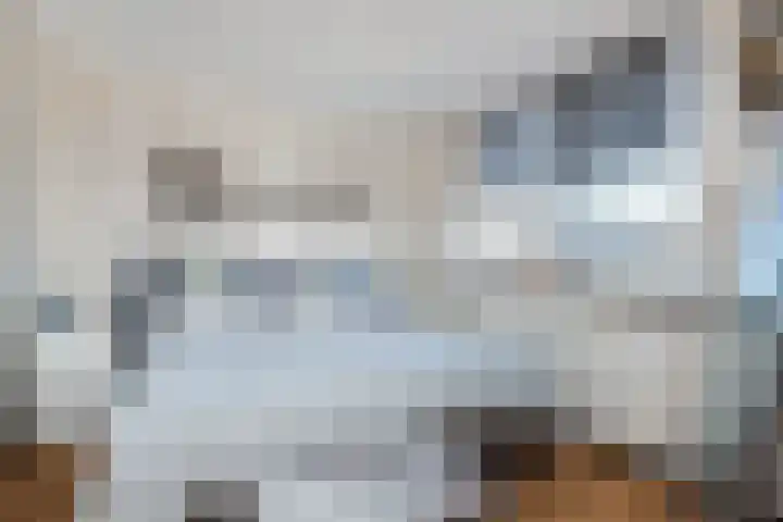 Joost van den Vondelstraat 27 Elsloo thumbnail 21