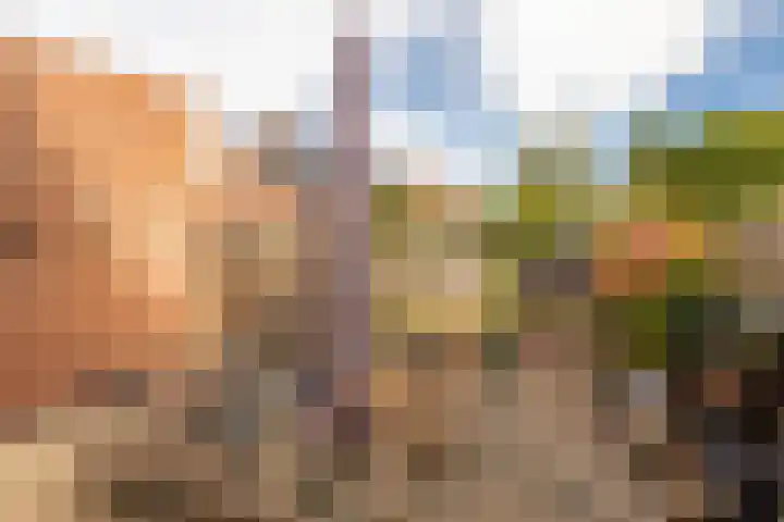 Joost van den Vondelstraat 27 Elsloo thumbnail 34