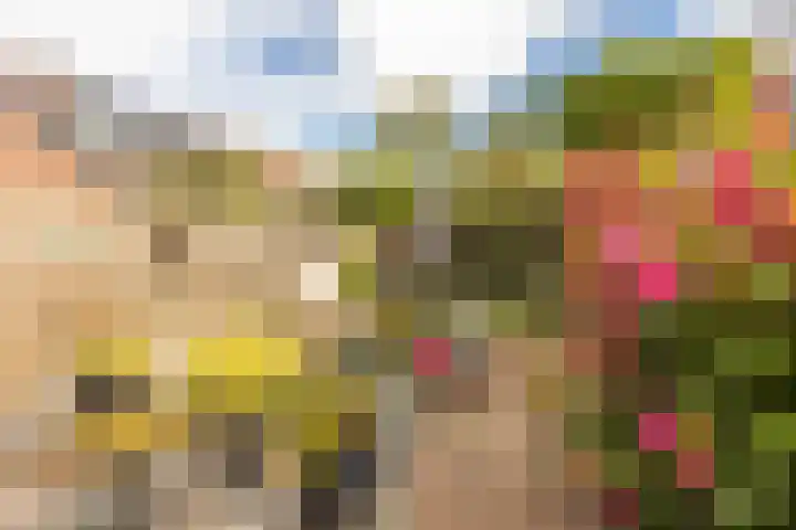 Joost van den Vondelstraat 27 Elsloo thumbnail 35