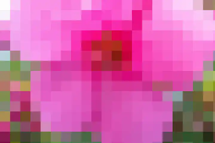 Joost van den Vondelstraat 27 Elsloo thumbnail 36