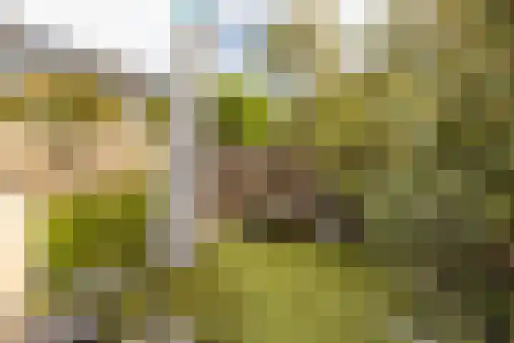 Joost van den Vondelstraat 27 Elsloo thumbnail 37