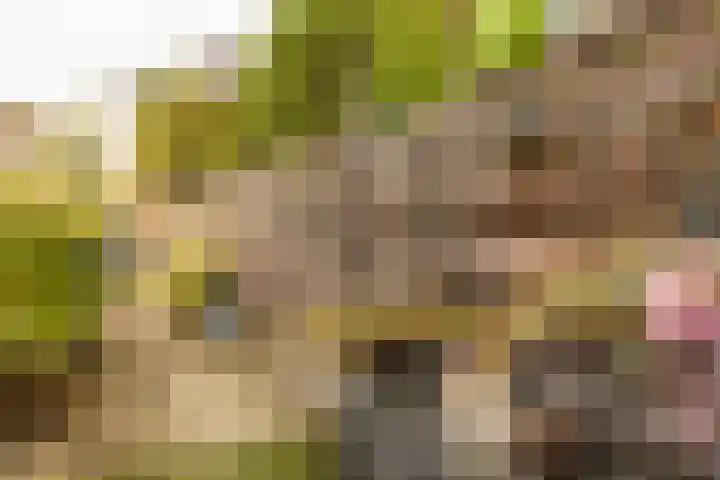 Joost van den Vondelstraat 27 Elsloo thumbnail 38