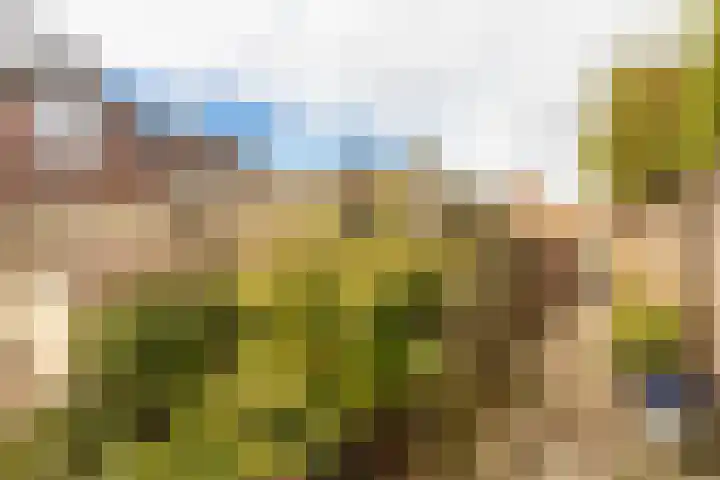 Joost van den Vondelstraat 27 Elsloo thumbnail 39
