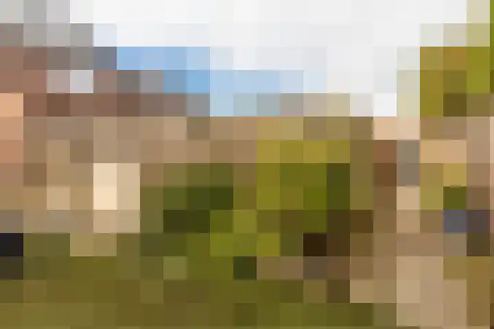 Joost van den Vondelstraat 27 Elsloo thumbnail 40