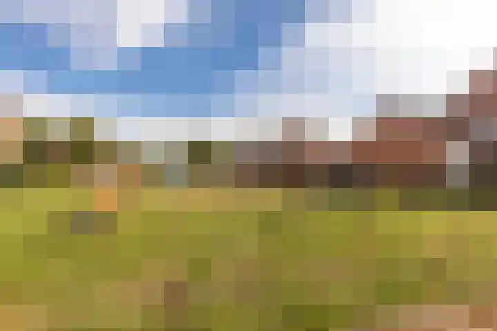 Joost van den Vondelstraat 27 Elsloo thumbnail 44