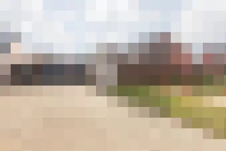 Joost van den Vondelstraat 27 Elsloo thumbnail 47