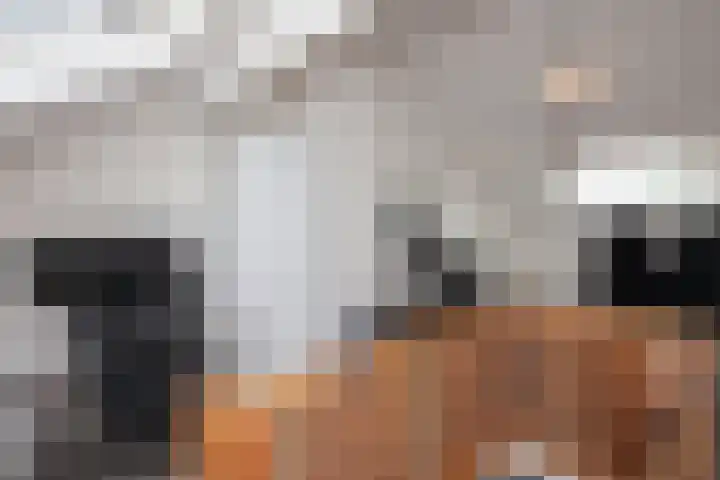 Joost van den Vondelstraat 29 Winterswijk thumbnail 23