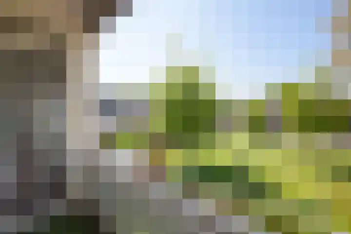 Joost van den Vondelstraat 29 Winterswijk thumbnail 29