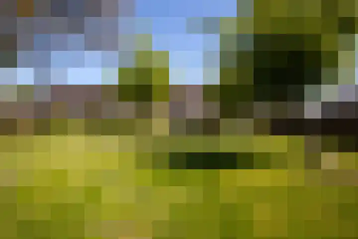 Joost van den Vondelstraat 29 Winterswijk thumbnail 4