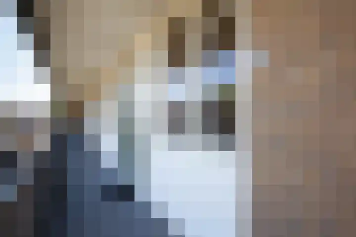 Joost van den Vondelstraat 29 Winterswijk thumbnail 7