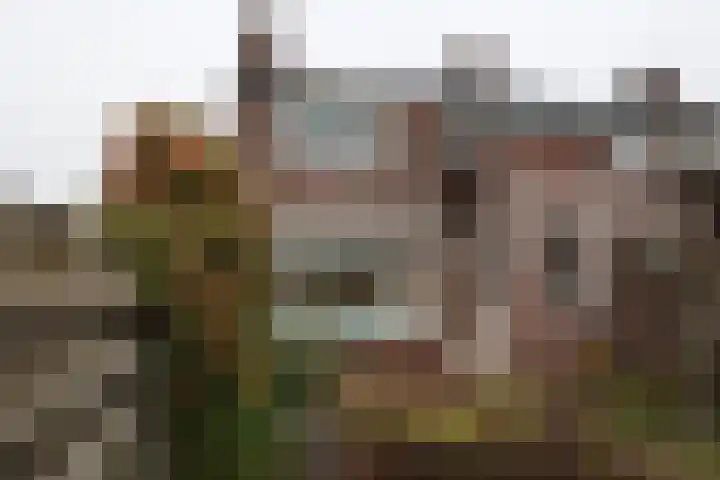 Joost van den Vondelstraat 30 Winterswijk thumbnail 13
