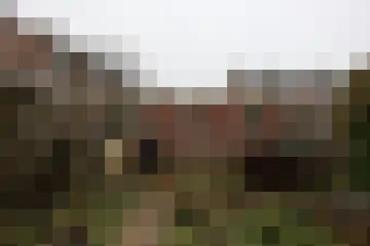 Joost van den Vondelstraat 30 Winterswijk thumbnail 15