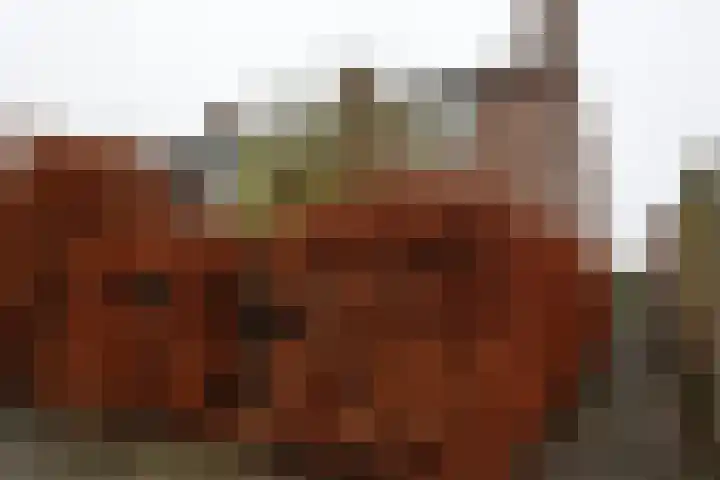 Joost van den Vondelstraat 30 Winterswijk thumbnail 22