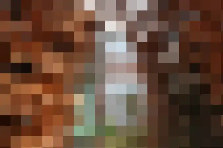 Joost van den Vondelstraat 30 Winterswijk thumbnail 23