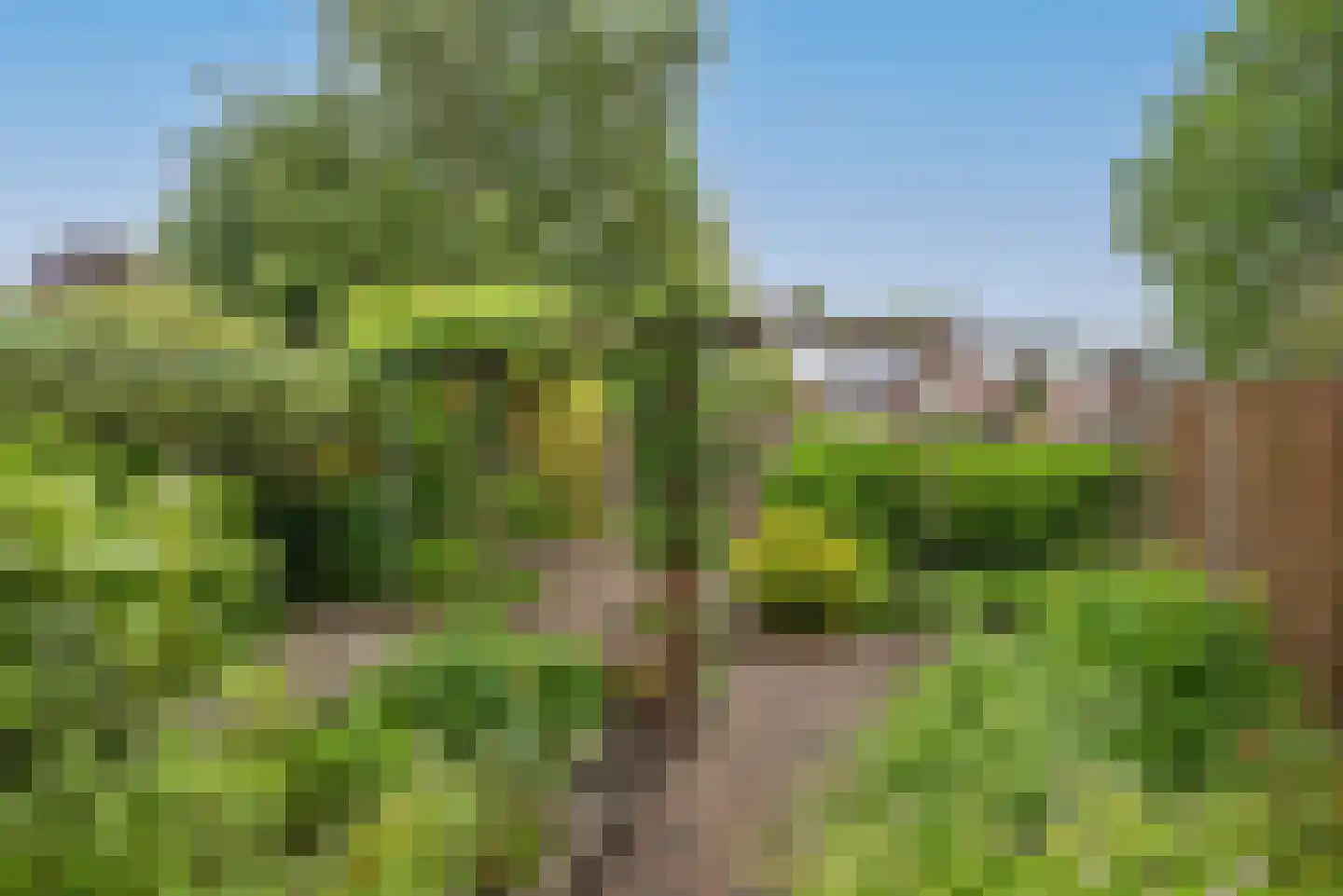 Joost van den Vondelstraat 31 Rijssen thumbnail 27
