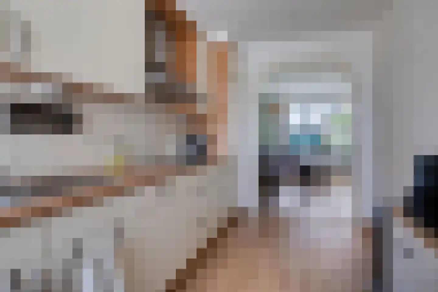 Joost van den Vondelstraat 43 Winterswijk thumbnail 14