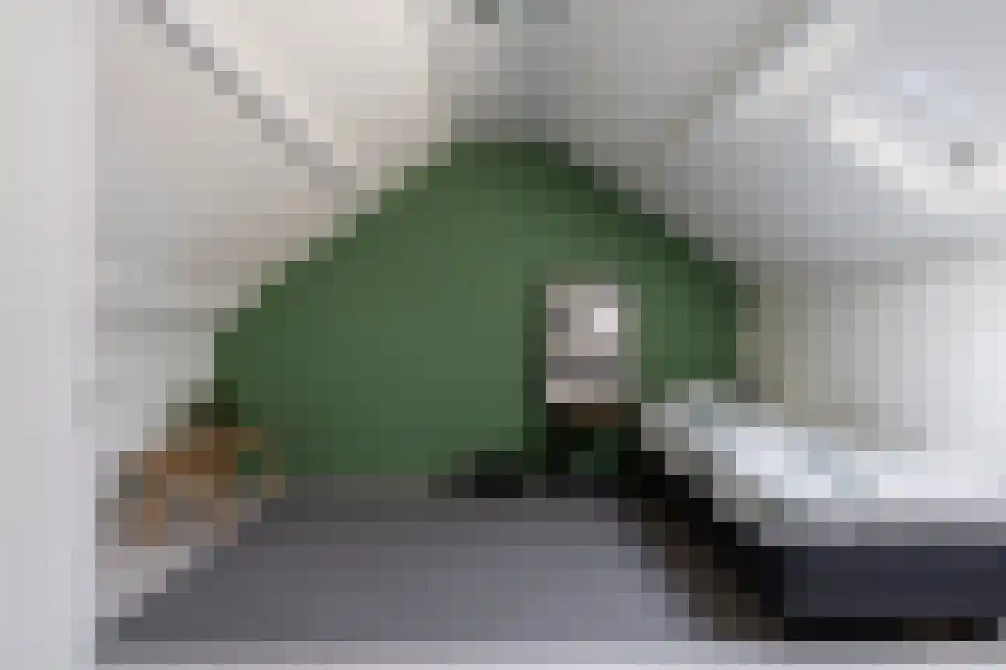Joost van den Vondelstraat 55 Harlingen thumbnail 48