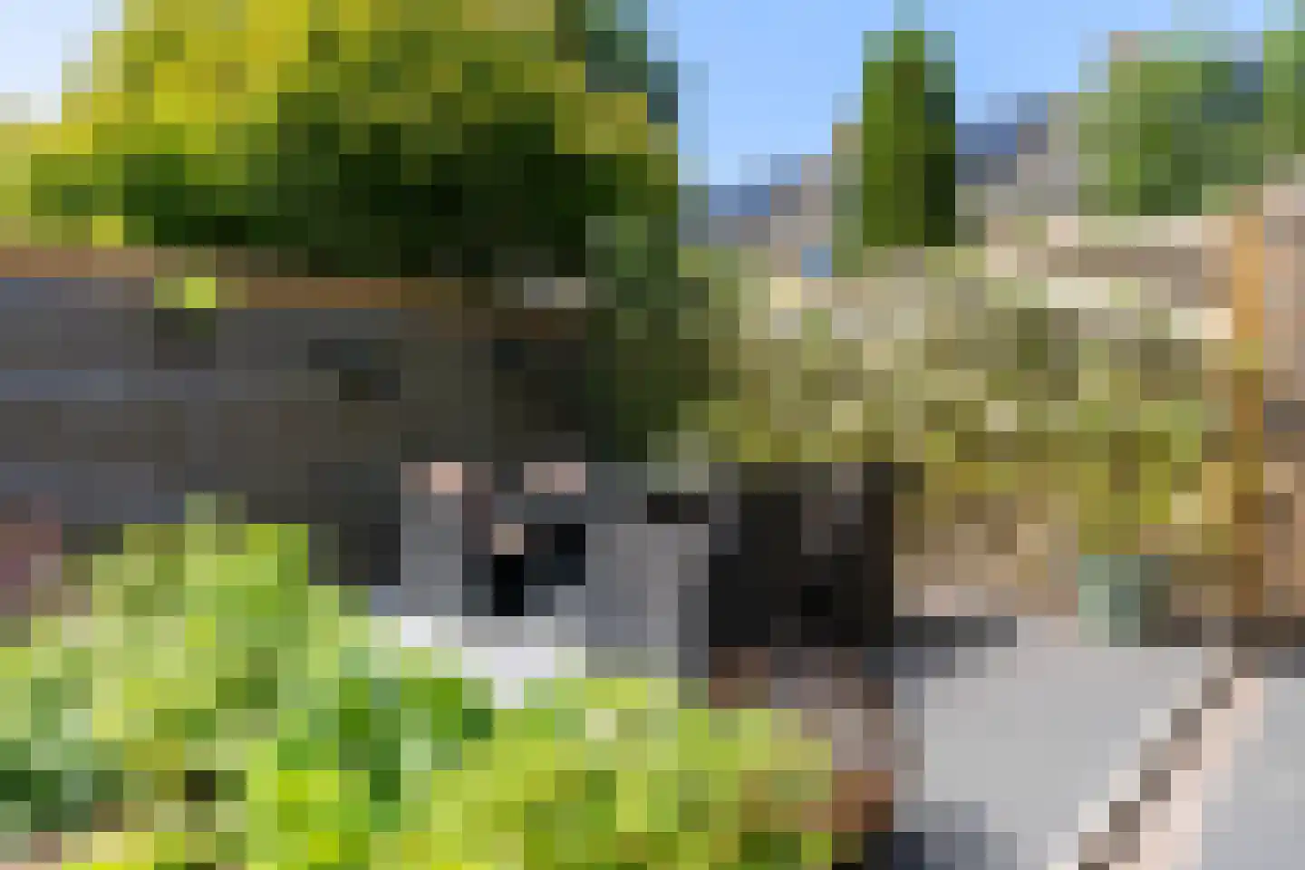 Joost van den Vondelstraat 55 Harlingen thumbnail 56