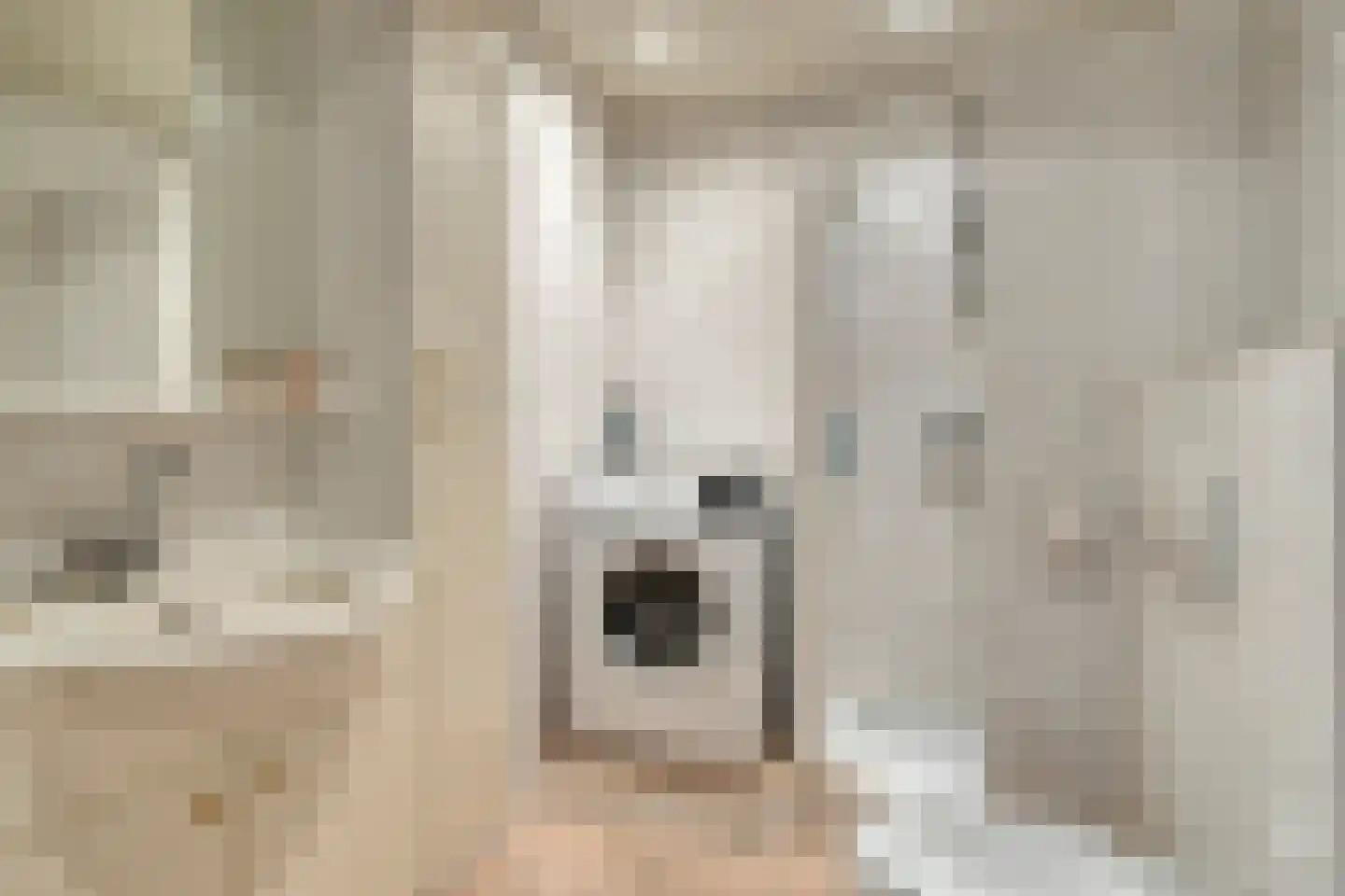 Joost van den Vondelstraat 63 Winterswijk thumbnail 21