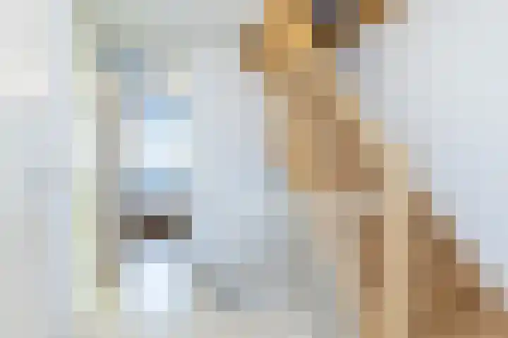 Joost van den Vondelstraat 7 Elsloo thumbnail 20