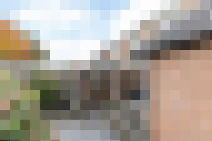 Joost van den Vondelstraat 7 Elsloo thumbnail 25
