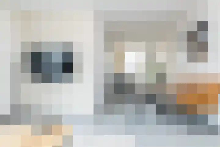 Joost van den Vondelstraat 7 Elsloo thumbnail 7