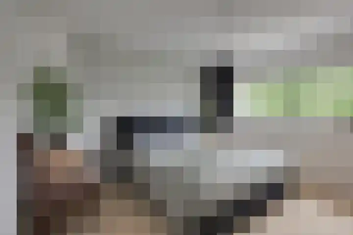Joost van den Vondelstraat 81 Winterswijk thumbnail 20
