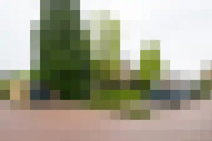 Joost van den Vondelstraat 81 Winterswijk thumbnail 37