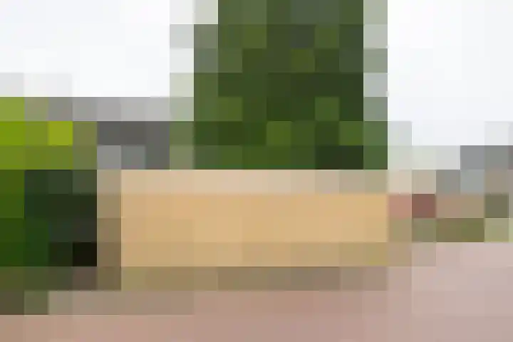 Joost van den Vondelstraat 81 Winterswijk thumbnail 39