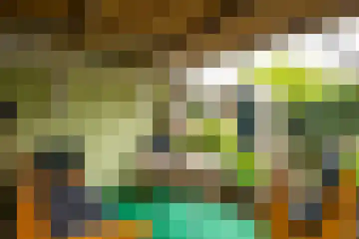 Joost van den Vondelstraat 81 Winterswijk thumbnail 43