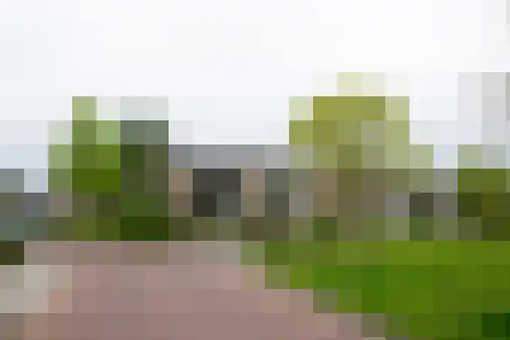 Joost van den Vondelstraat 81 Winterswijk thumbnail 5
