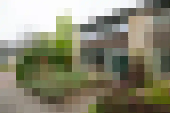 Joost van den Vondelstraat 81 Winterswijk thumbnail 6