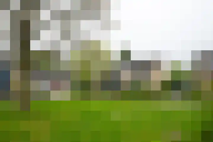 Joost van den Vondelstraat 81 Winterswijk thumbnail 7