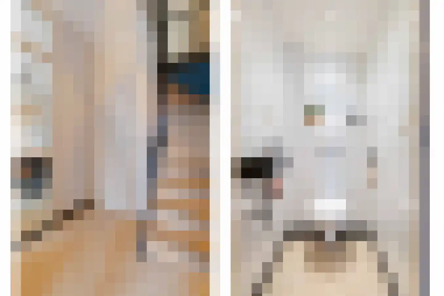 Joost van den Vondelstraat 9 Elsloo thumbnail 12