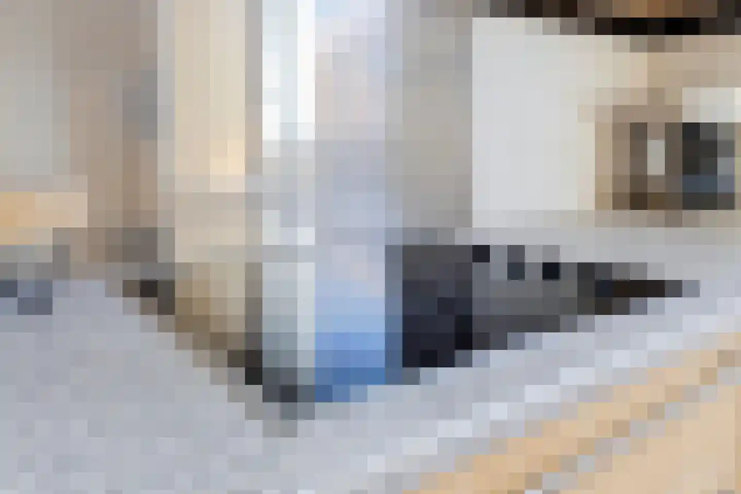 Joost van den Vondelstraat 9 Elsloo thumbnail 23