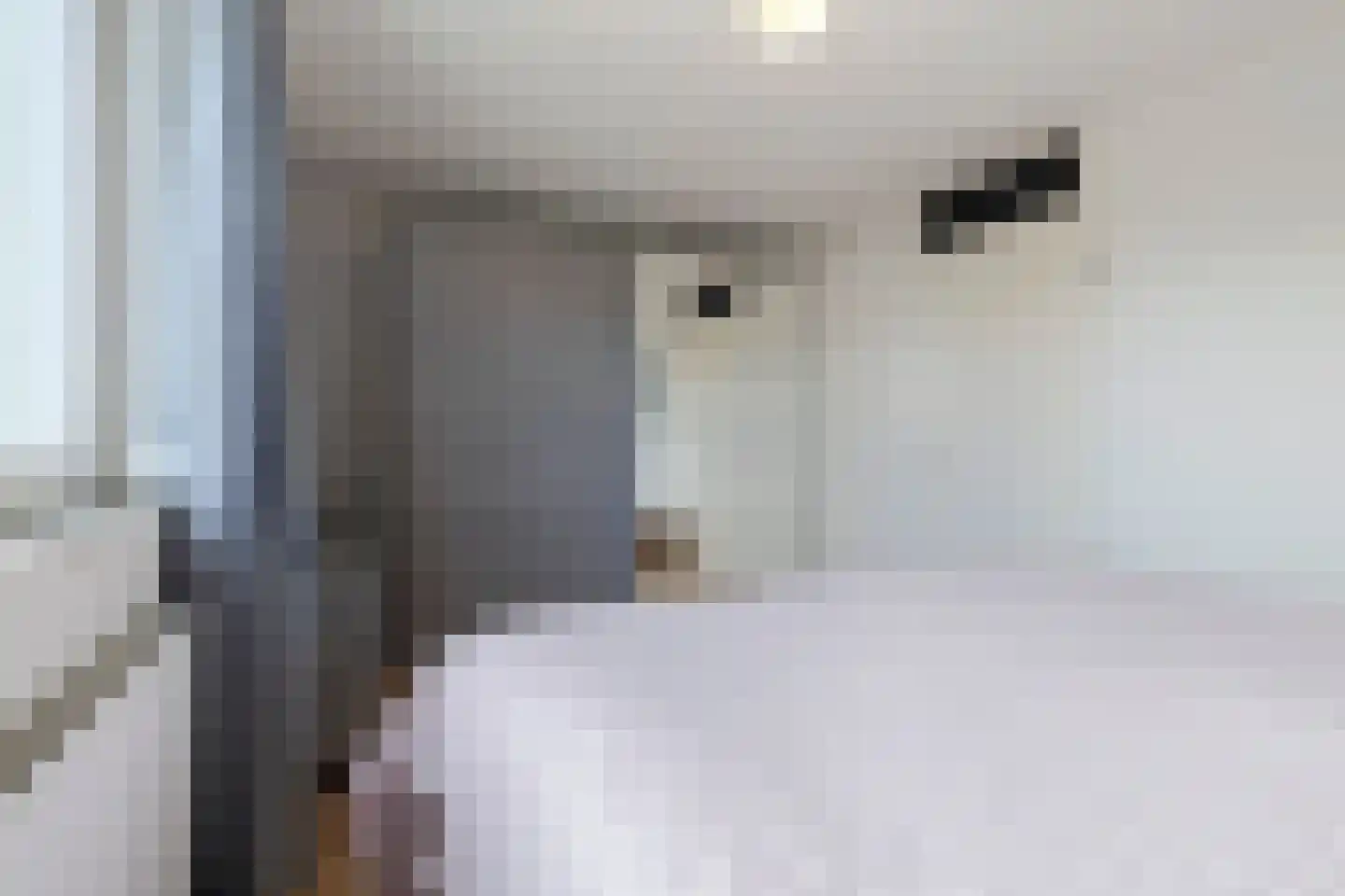 Joost van den Vondelstraat 9 Elsloo thumbnail 30