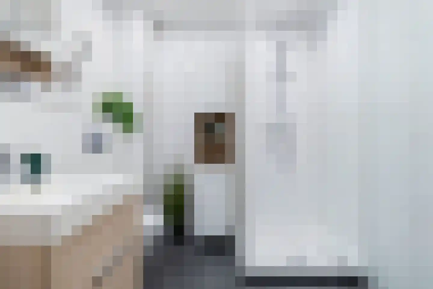 Joost van den Vondelstraat 9 Elsloo thumbnail 6