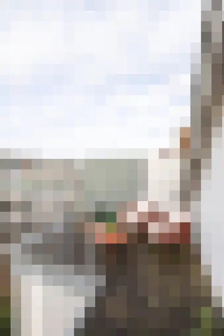 Joost van Geelstraat 43 A Rotterdam thumbnail 30