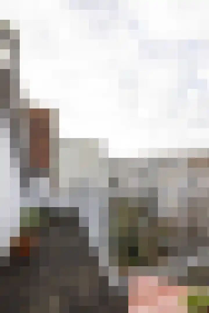 Joost van Geelstraat 43 A Rotterdam thumbnail 31
