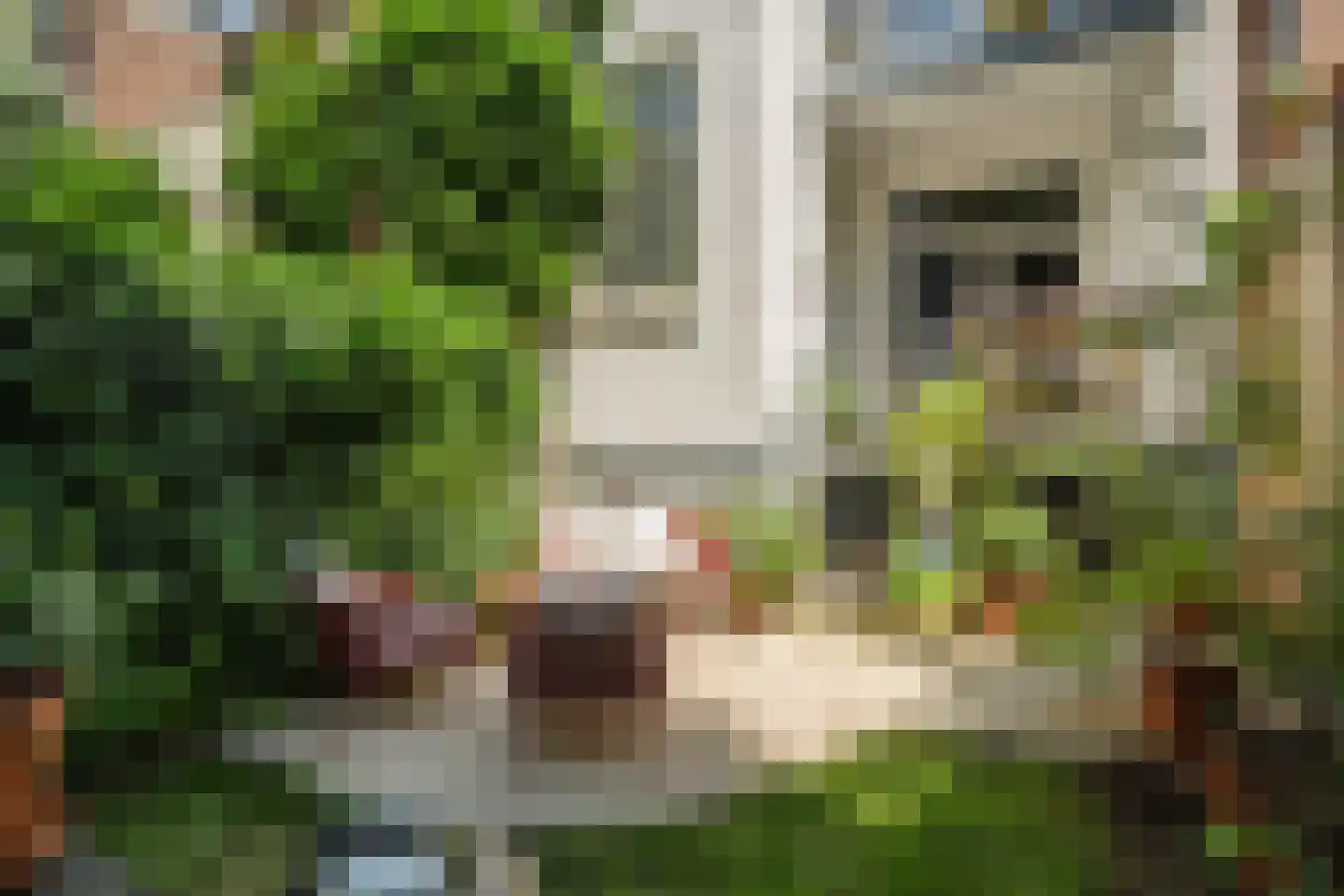 Joost van Geelstraat 43 B Rotterdam thumbnail 28