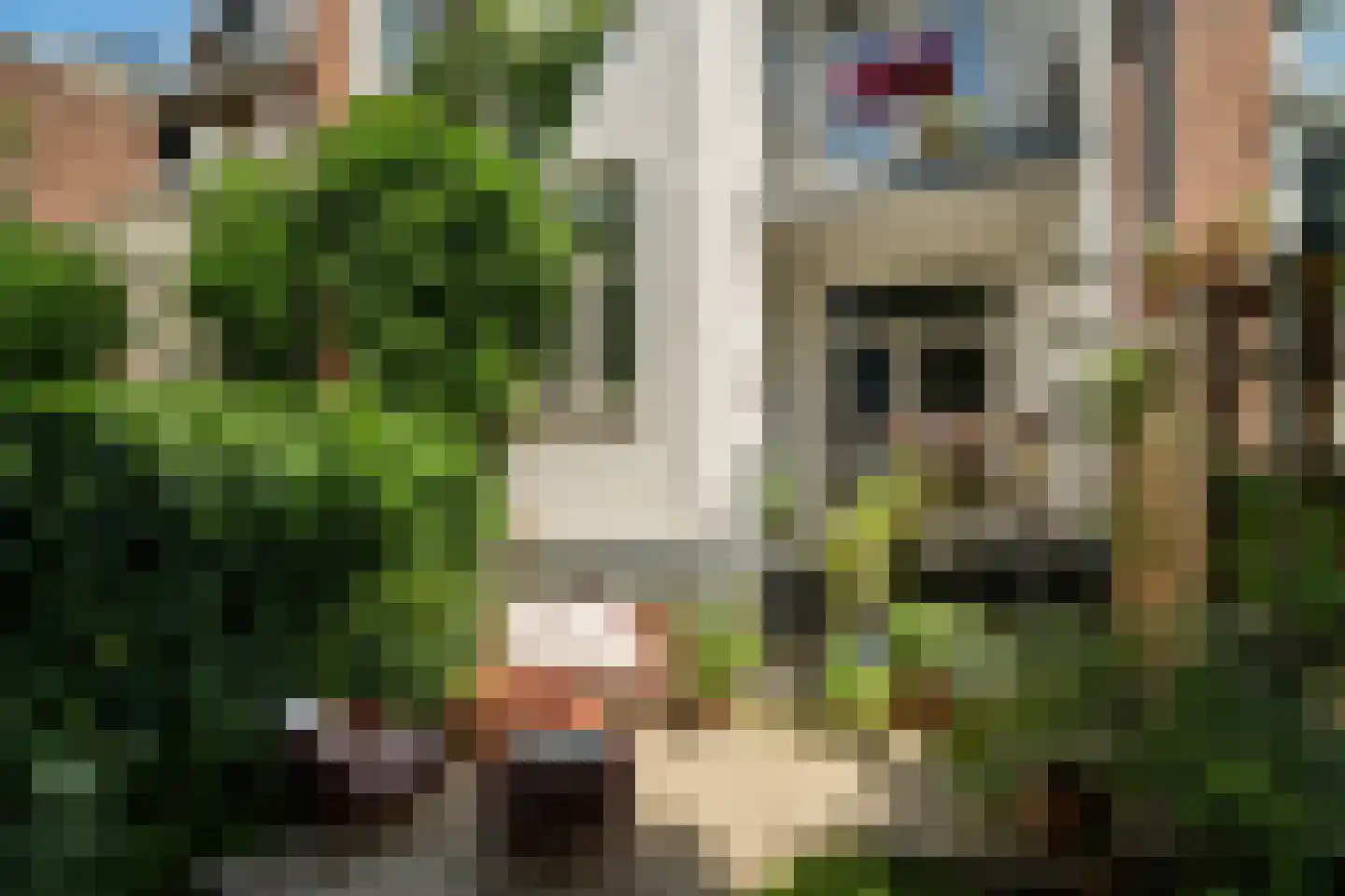 Joost van Geelstraat 43 B Rotterdam thumbnail 30