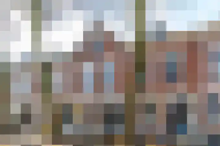 Joost van Geelstraat 57 A Rotterdam thumbnail 31