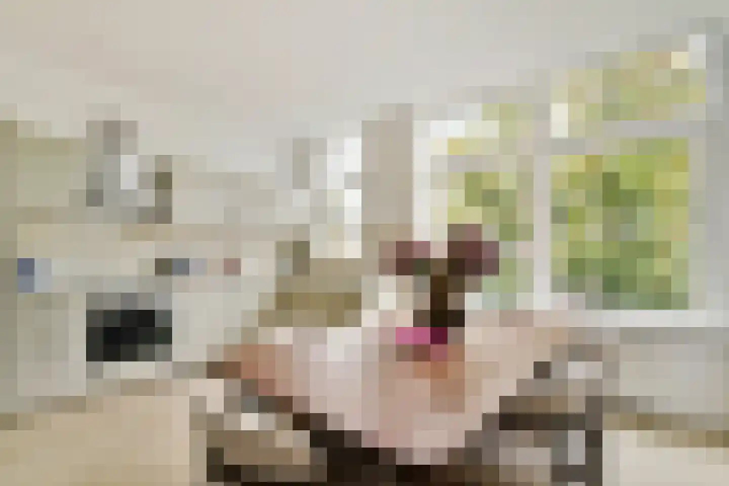 Joost van Geelstraat 8 A Rotterdam