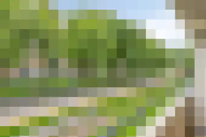 Joostenplein 8 Oudewater thumbnail 11